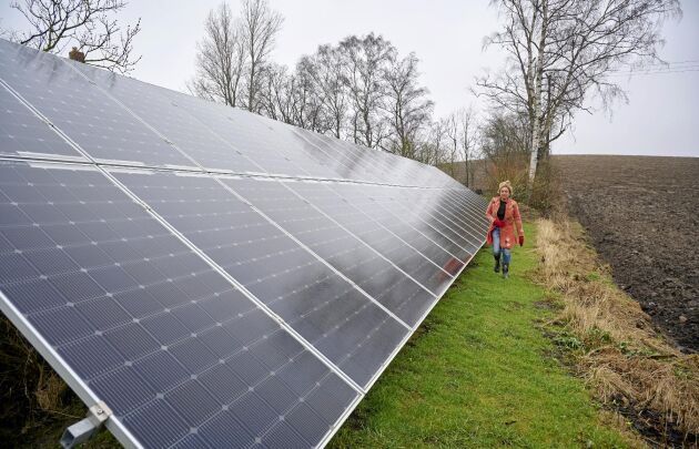  Anne Lundberg har 42 solcellspaneler i sin anläggning i trädgården. Den ger 18 000 kWh om året. 
