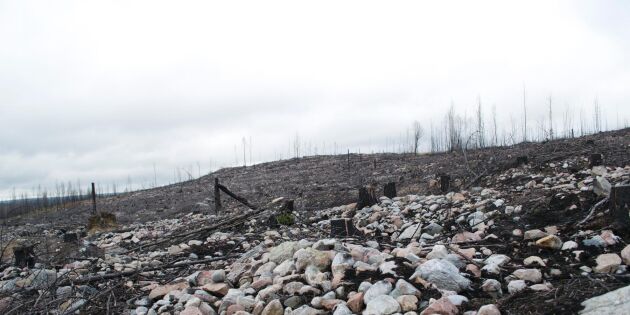 Rättegång om skogsbranden i Västmanland inledd