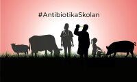 Svenskt Kött vill utbilda om antibiotikaresistens