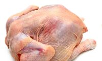 Kraftig ökning av resistenta campylobacter i brittisk kyckling