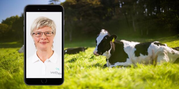 Digital veterinär riktar sig nu även till lantbruksdjur