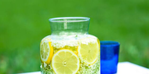 Läskande god fläderblomssaft – utan citronsyra!