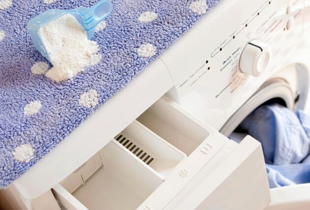  Dagens energisnåla tvättmetoder har en baksida: De får smittsamma bakterier och svamp att frodas.