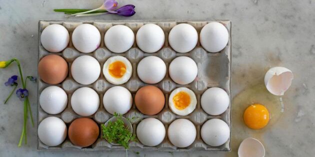 Älskade ägg! Bra tips och fakta om vår smartaste råvara