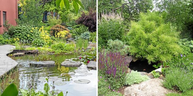 Öppen Trädgård 2018: 6 vackra dammar att inspireras av!