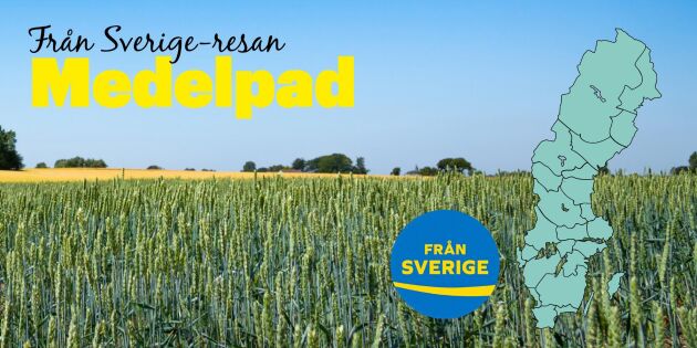 Från Sverige-resan: Medelpad - maffiga smaker med mångfald
