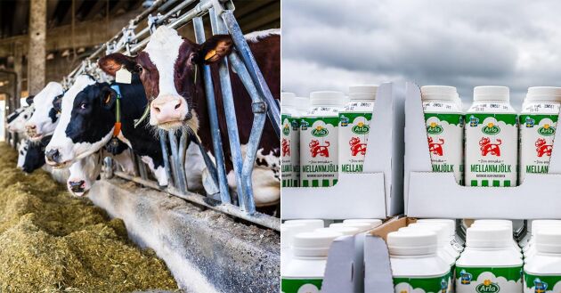  Arla meddelar att avräkningspriset för både konventionell och ekologisk mjölk ligger stilla i november.