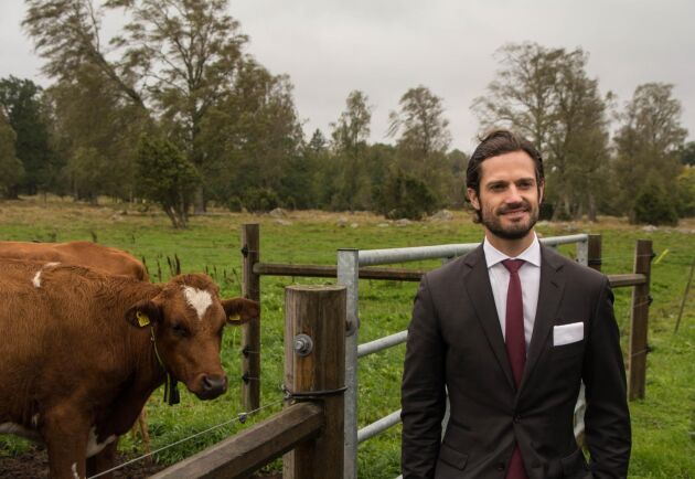  Prins Carl Philip tror att möjligheterna är goda för att öka den inhemska köttproduktionen.