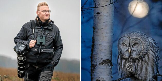 Jonas bild på lappugglan i Närkesskogen blev världskänd