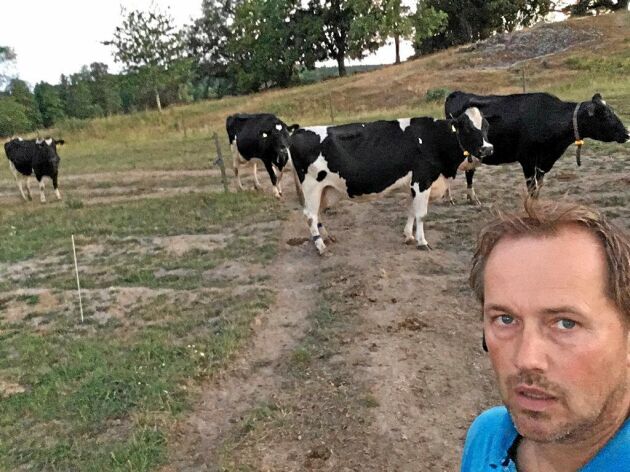 Göran Bengtsson i Flen har hämtat mat till korna i Fagersta. Det krävdes 210 mil i traktorn. "Jag är otroligt tacksam för all hjälp och tips om mat till djuren. Det verkar också som om folk tänker till och vill välja svenskt kött", säger Göran.