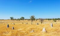 Australien upplever värsta torkan i mannaminne