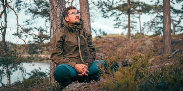 Därför blir du frisk av skogen – 3 bevisade hälsoeffekter