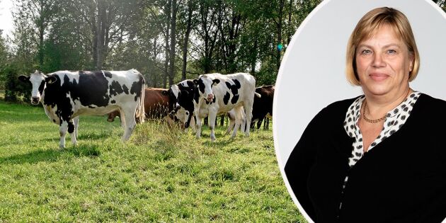 Lena Johansson: ”Jag ser en annan bild av svensk djurhållning”