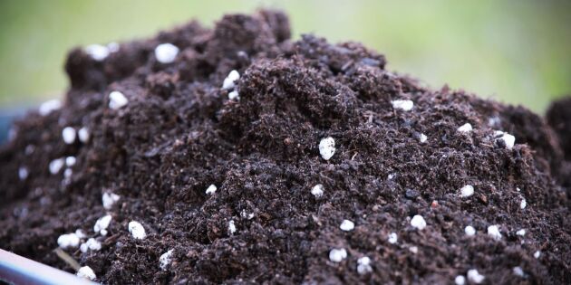 Blanda egen såjord – av jord, sand och kompost