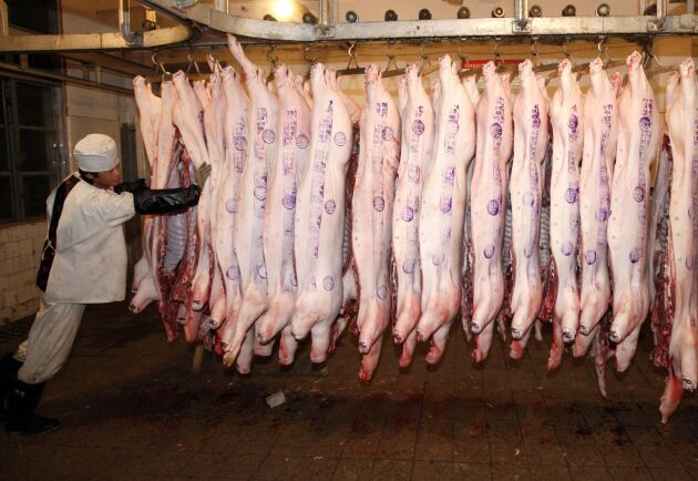  Utbrotten av svinpest i norra Kina ger stigande priser på griskött i syd.