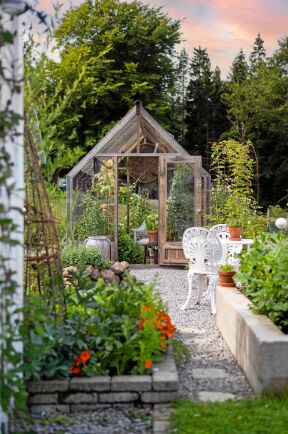  Den grå träfärgen får växthuset Emilia från Skånska Byggvaror att smälta in fint i en naturnära trädgård.