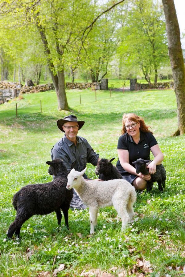 Land.se skriver om Jeanette och Kristian som startat ekologisk fårfarm. 