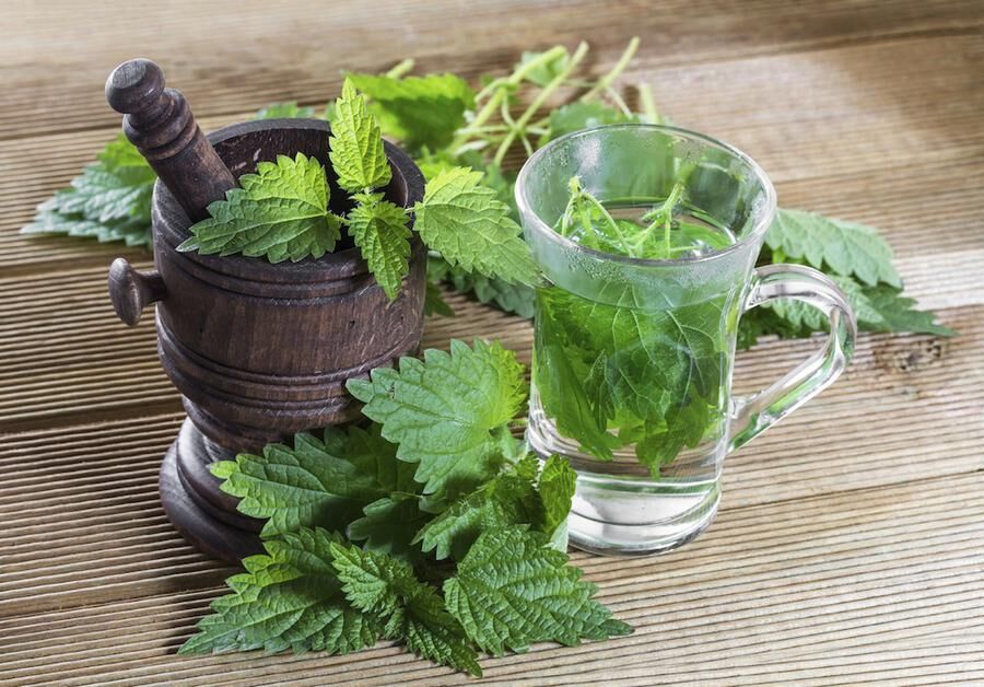 Tea with fresh nettles on a wooden background