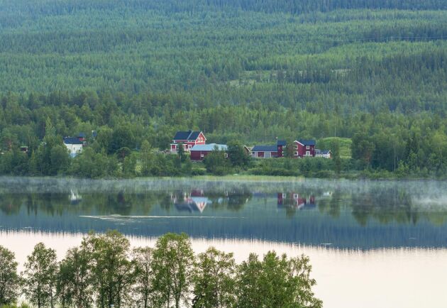  LRF Konsult släpper i dag, torsdag, sin rapport över skogsgårdarnas ekonomi i Sverige. Den visar bland annat att det genomsnittliga skogsnettot för hela Sverige sjunker.