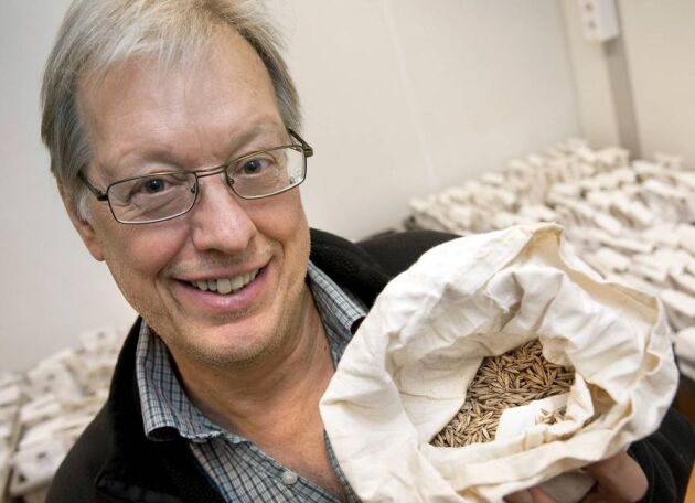 Professor Olof Olsson med en del av resultaten från sommarens testodling av högproteinhavre i Västergötland.– I vinter fortsätter testodlingen på Nya Zeeland för att skynda på utvecklingen.