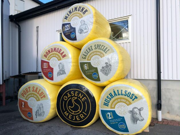  Gäsene mejeri gör ostar med stor smak. Dock så är just dessa skapade i marknadsföringssyfte. Foto: Göran Berglund.