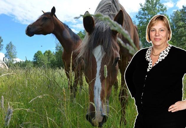 Är det dags för hästen att överta kons plats i skamvrån, frågar sig Lena Johansson.