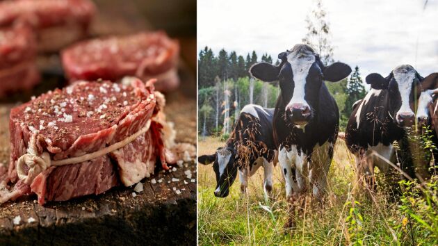  Bästa köttet hittar du hos Åsby kött.
