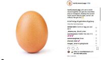 Avkomma från brittisk höna slår realitykändis på Instagram