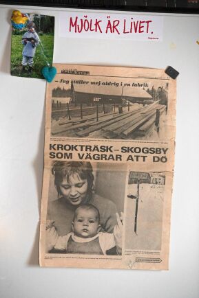  På kylskåpsdörren hänger ett urklipp från 1973 som handlar om Krokträsk som redan då vägrade att dö ut. 