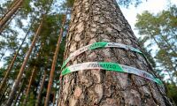 Har Skogsstyrelsen fått nya direktiv?