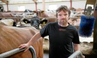 Mjölkbonden: Varför ska de effektiva företagen missgynnas?