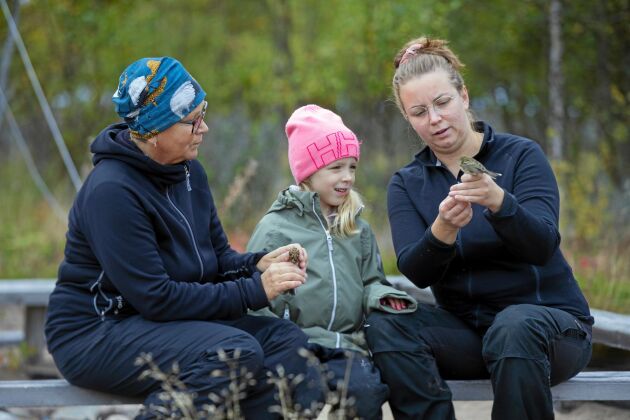  Gunborg Stenvalls (t vä) intresse för fågelskådning går i arv och hon får allt som oftast sällskap av barnbarnet Ella Boman och dottern Sarah Stenvall. 