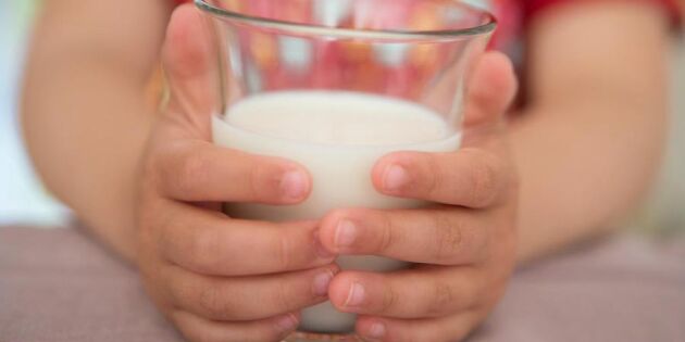 Mjölksveket: Stadsbarnen får mindre mjölk i förskolan