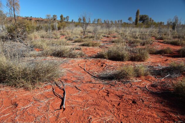  Stora delar av Australien har i flera år varit drabbat av torka och på flera håll har det införts vattenrestriktioner.
