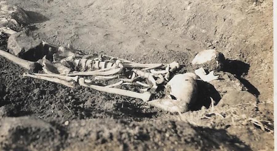 Mystiskt skelett hittades i åkern.