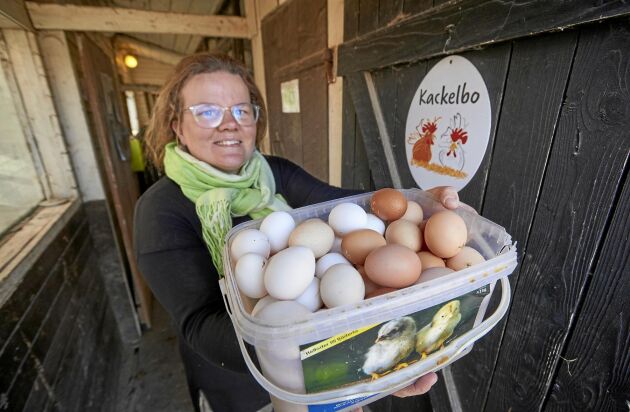  Isabelle hämtar färska ägg i ett av hennes hönshus, "Kackelbo".