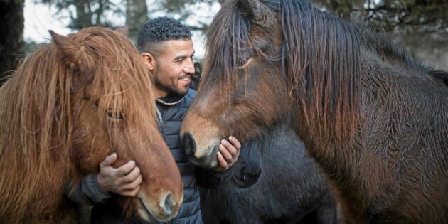 Svetsaren Ahmad upptäckte unik talang – kan ”prata” med hästar: 'Det bara finns där'