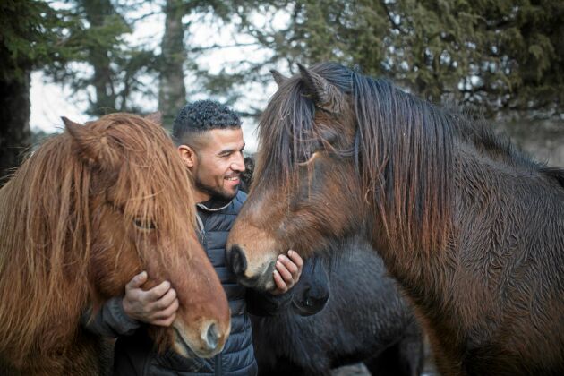  Ahmad el Mousa gosar med islandshästarna Lukke och Kolbrun.