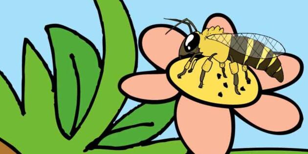Bzzz! Lär dig allt om bin – på under en minut!