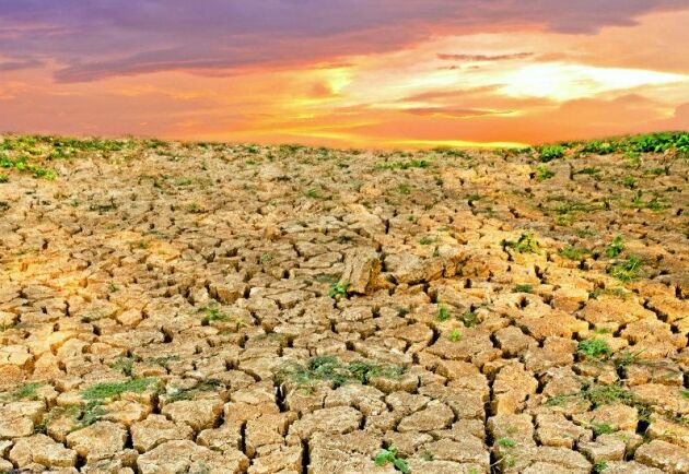  Tidigare bördiga jordbruksmarker kan bli obrukbara på grund av torka till följd av klimatförändringarna.