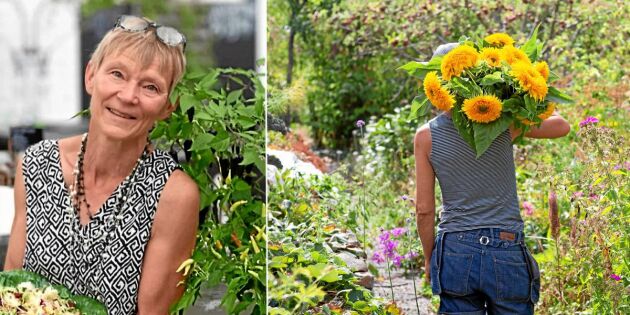Trädgårdsfotografens bästa tips: Många solrosor och städa lagom
