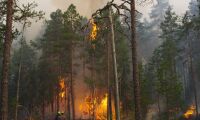Största naturvårdsbränningen i Sverige