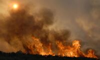 Många brandmän döda i kinesisk skogsbrand