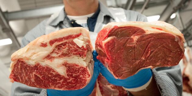 Importen av kött minskar – svenskt kött ökar