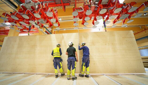  CLT-produkterna från Gruvöns sågverk är 16 meter långa och 3,5 meter höga. 