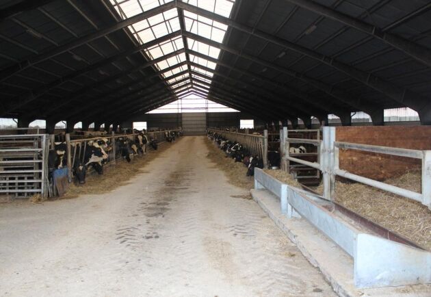  Gården är i dag i full drift i form av nötköttsproduktion med omkring 460 djur, som också kan köpas. 