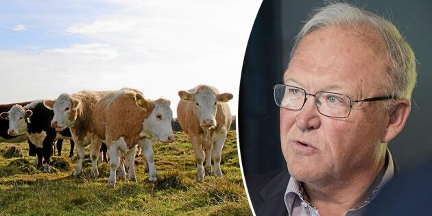 Göran Persson: Svenska kor har inte orsakat klimatkrisen