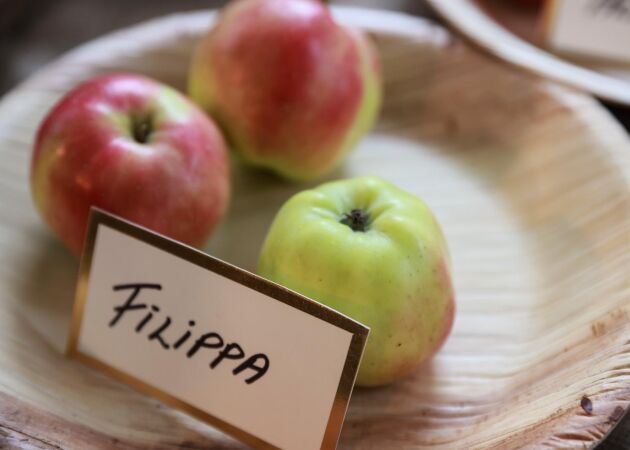 Bloggtips: Så sortbestämmer du dina äpplen