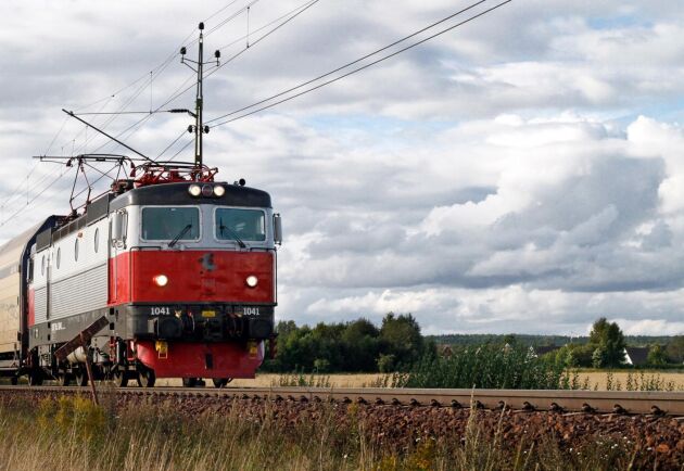  Nötdjur blev påkörda av ett tåg vid Ljungskile i Bohuslän. 
