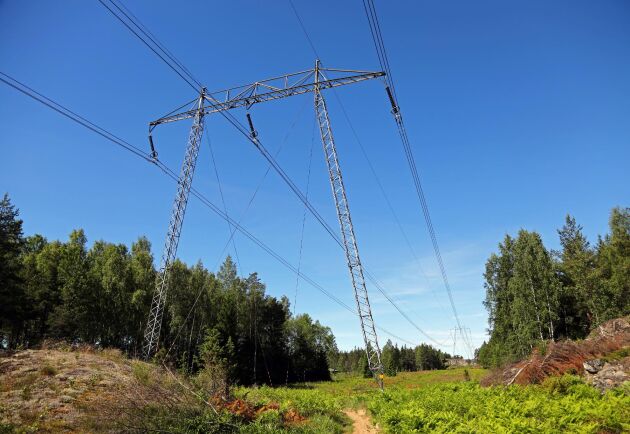  Svenska kraftnät och kraftbolagen borde på ett tidigt stadium vid stora kraftledningsprojekt initiera en dialog med berörda markägare, skriver debattörerna.